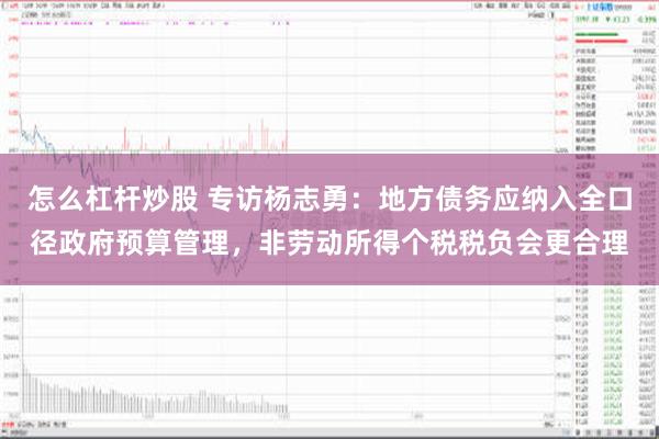 怎么杠杆炒股 专访杨志勇：地方债务应纳入全口径政府预算管理，非劳动所得个税税负会更合理