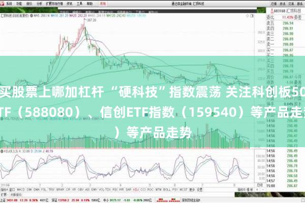 买股票上哪加杠杆 “硬科技”指数震荡 关注科创板50ETF（588080）、信创ETF指数（159540）等产品走势