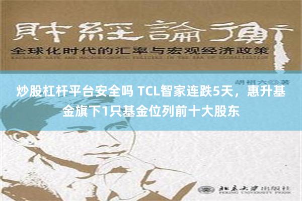 炒股杠杆平台安全吗 TCL智家连跌5天，惠升基金旗下1只基金位列前十大股东