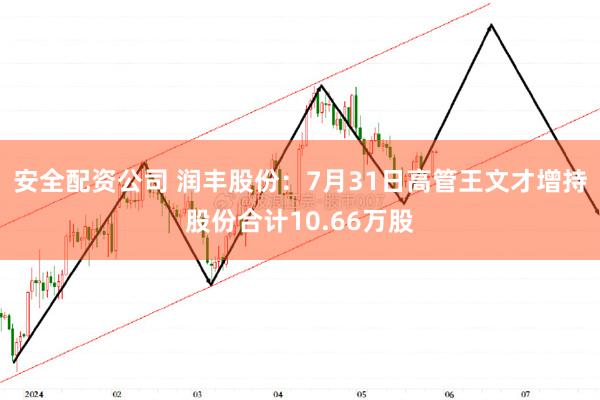 安全配资公司 润丰股份：7月31日高管王文才增持股份合计10.66万股