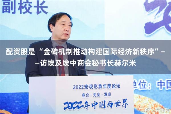 配资股是 “金砖机制推动构建国际经济新秩序”——访埃及埃中商会秘书长赫尔米