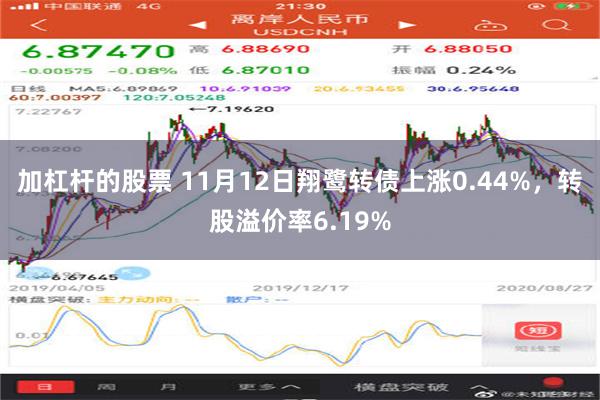 加杠杆的股票 11月12日翔鹭转债上涨0.44%，转股溢价率6.19%