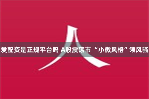 爱配资是正规平台吗 A股震荡市 “小微风格”领风骚