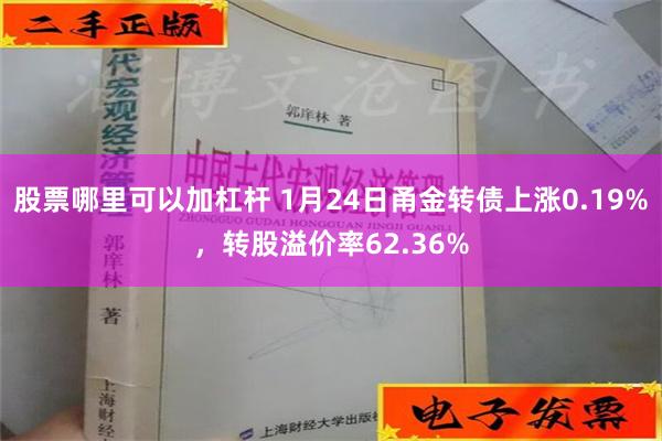 股票哪里可以加杠杆 1月24日甬金转债上涨0.19%，转股溢价率62.36%